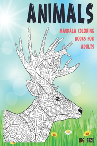 Mandala Coloring Books for Adults Big size - Animals