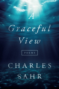 Graceful View