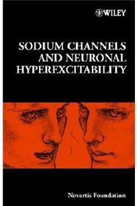 Sodium Channels and Neuronal Hyperexcitability