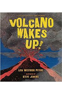 Volcano Wakes Up!