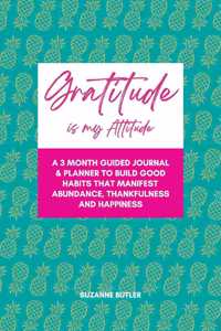 Gratitude is my Attitude
