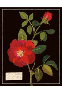 Mary Delany Florals Keepsake Box