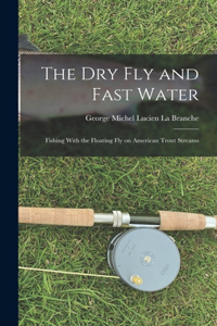 Dry Fly and Fast Water
