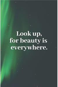 Look Up, for Beauty Is Everywhere