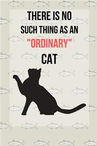 There Is No Such Thing As An Ordinary Cat
