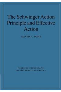 Schwinger Action Principle and Effective Action