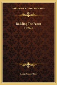 Budding The Pecan (1902)