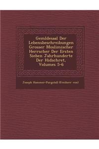 Gem Ldesaal Der Lebensbeschreibungen Grosser Moslimischer Herrscher Der Ersten Sieben Jahrhunderte Der Hidschret, Volumes 5-6