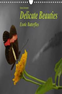 Delicate Beauties Exotic Butterflies / UK-Version 2017