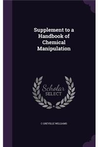 Supplement to a Handbook of Chemical Manipulation