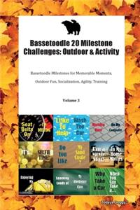 Bassetoodle 20 Milestone Challenges