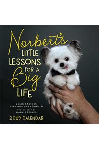 Norbert'S Little Lessons for a Big Life 2019 Square Wall Calendar