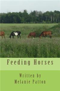 Feeding Horses