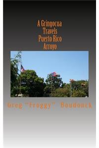 A Gringocua Travels Puerto Rico Arroyo