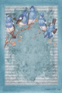 Password Log: Large Print - Birds in Blue