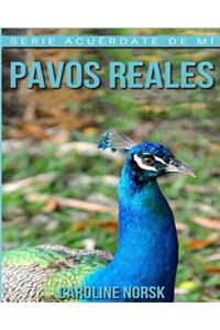 Pavos Reales