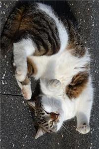 A Cat on Her Back Journal