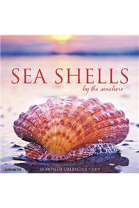 Sea Shells 2019 Wall Calendar