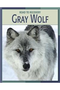 Gray Wolf