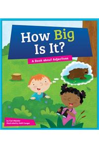 How Big Is It?