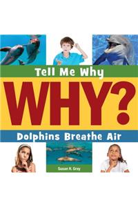 Dolphins Breathe Air