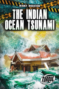 Indian Ocean Tsunami