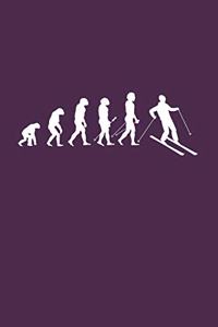 Evolution of Skier