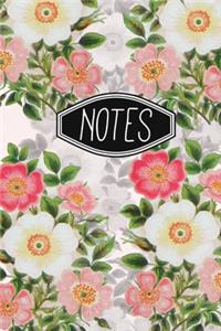 Notes