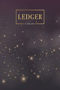 5 column ledger