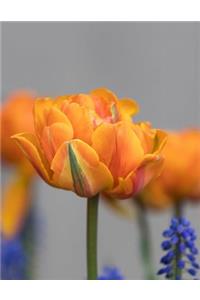 Yellow Tulip Journal