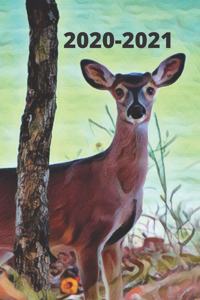 Doe Deer by the Lake Cute Gift Dated Calendar Planner 2 years To-Do Lists, Tasks, Notes Appointments for Men & Women