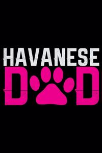 Havanese Dad