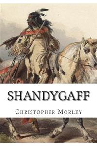 Shandygaff