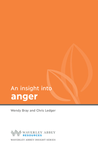 Insight into Anger