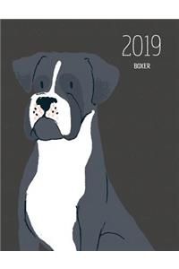 2019 Boxer