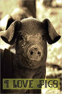 I Love Pigs