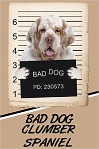 Bad Dog Clumber Spaniel