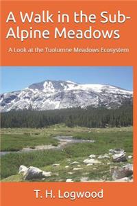A Walk in the Sub-Alpine Meadows