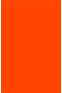 Orange Notebook