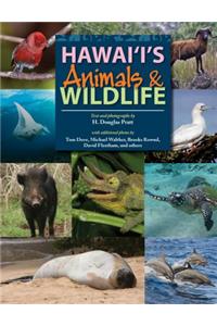 Hawaii's Animals & Wildlife