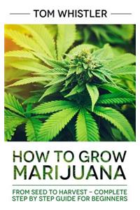 Marijuana