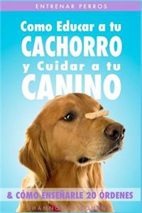 Entrenar Perros