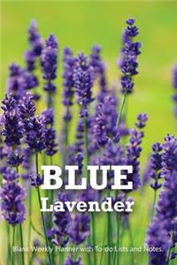 Blue Lavender