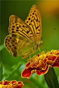 Butterfly on a Flower Journal