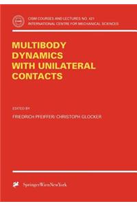 Multibody Dynamics with Unilateral Contacts