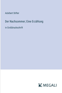 Der Nachsommer; Eine Erzählung