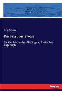 Die bezauberte Rose