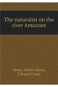 The naturalist on the river Amazons