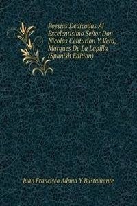 Poesias Dedicadas Al Excelentisimo Senor Don Nicolas Centurion Y Vera, Marques De La Lapilla (Spanish Edition)
