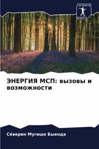 ЭНЕРГИЯ МСП